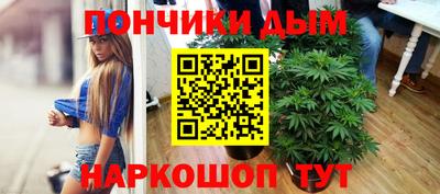 хмурый Бийск